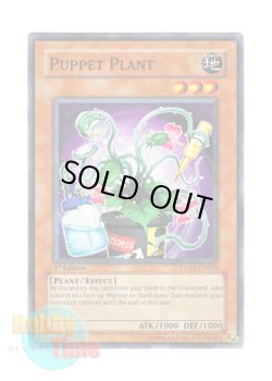 画像1: 英語版 STON-EN022 Puppet Plant パペット・プラント (ノーマル) 1st Edition
