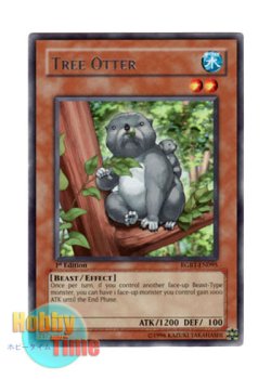画像1: 英語版 RGBT-EN095 Tree Otter ラッコアラ (レア) 1st Edition