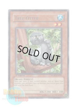 画像1: 英語版 RGBT-EN095 Tree Otter ラッコアラ (レア) 1st Edition