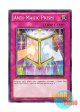 英語版 DREV-EN078 Anti-Magic Prism 反魔鏡 (ノーマル) 1st Edition