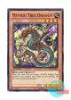 英語版 SHSP-EN010 Mythic Tree Dragon 幻木龍 (ノーマル) 1st Edition