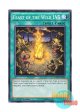 英語版 DUEA-EN056 Feast of the Wild LV5 蛮族の狂宴LV５ (ノーマル) 1st Edition