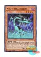 英語版 NECH-EN034 Night Dragolich ナイト・ドラゴリッチ (ウルトラレア) 1st Edition