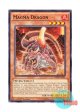 英語版 CROS-EN034 Magma Dragon マグマ・ドラゴン (ノーマル) 1st Edition