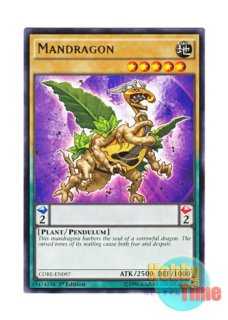 英語版 プレイマット BP03 シールドプレイバトルキット3限定版 量子猫