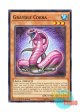 英語版 DOCS-EN034 Graydle Cobra グレイドル・コブラ (ノーマル) 1st Edition