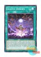 英語版 DOCS-EN053 Shuffle Reborn シャッフル・リボーン (ノーマル) 1st Edition