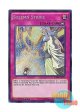 英語版 BOSH-EN079 Solemn Strike 神の通告 (シークレットレア) 1st Edition