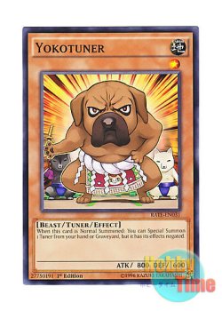 画像1: 英語版 RATE-EN031 Yokotuner 横綱犬 (ノーマル) 1st Edition