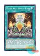 英語版 RATE-EN055 Machine Angel Absolute Ritual 機械天使の絶対儀式 (ノーマル) 1st Edition