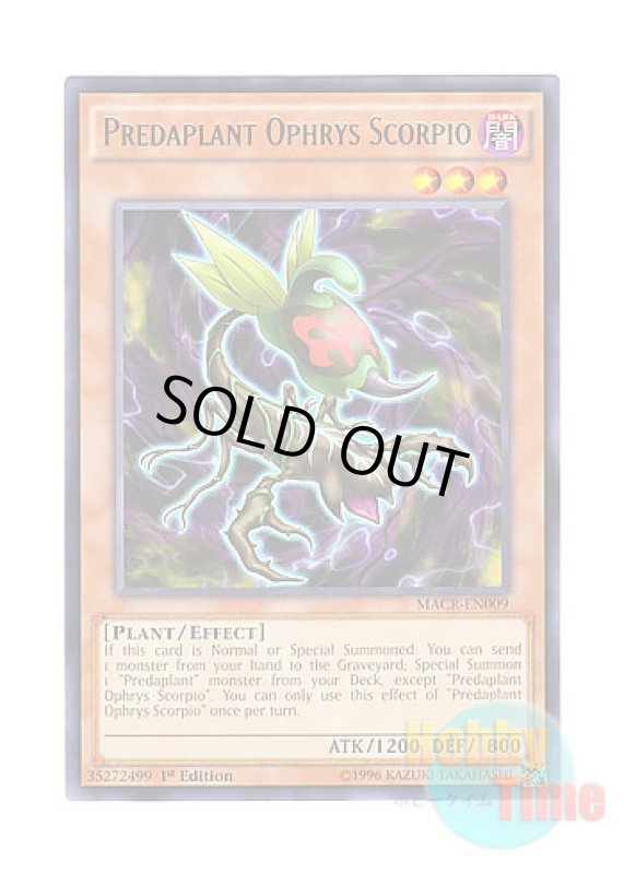 画像1: 英語版 MACR-EN009 Predaplant Ophrys Scorpio 捕食植物オフリス・スコーピオ (レア) 1st Edition (1)
