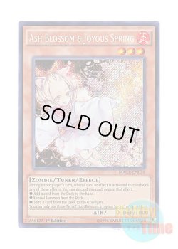 画像1: 英語版 MACR-EN036 Ash Blossom & Joyous Spring 灰流うらら (シークレットレア) 1st Edition