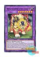 英語版 CIBR-EN094 Amazoness Pet Liger アマゾネスペット虎獅子 (ノーマル) 1st Edition