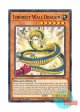 英語版 EXFO-EN006 Linkbelt Wall Dragon 弾帯城壁龍 (ノーマル) 1st Edition