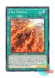 英語版 EXFO-EN052 Fire Prison 天火の牢獄 (ノーマル) 1st Edition