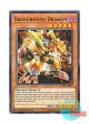 英語版 FLOD-EN012 Background Dragon バックグランド・ドラゴン (ノーマル) 1st Edition