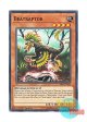 英語版 RIRA-EN033 Beatraptor 縄張恐竜 (ノーマル) 1st Edition