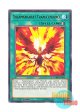 英語版 CHIM-EN052 Salamangreat Transcendence 転生炎獣の超転生 (レア) 1st Edition