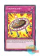 英語版 CHIM-EN080 Boompoline!! ドカンポリン (ノーマル) 1st Edition
