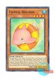 英語版 ROTD-EN021 Fluffal Dolphin ファーニマル・ドルフィン (ノーマル) 1st Edition