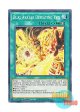 英語版 PHRA-EN059 Dual Avatar Defeating Evil 双天の調伏 (ノーマル) 1st Edition