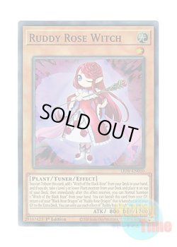 画像1: 英語版 LIOV-EN010 Ruddy Rose Witch 紅蓮薔薇の魔女 (スーパーレア) 1st Edition