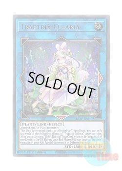 画像1: 英語版 LIOV-EN046 Traptrix Cularia クラリアの蟲惑魔 (ウルトラレア) 1st Edition