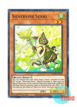 画像1: 英語版 BACH-EN031 Silvervine Senri マタタビ仙狸 (ノーマル) 1st Edition