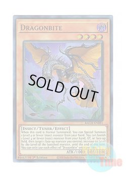 画像1: 英語版 BACH-EN081 Dragonbite 竜咬蟲 (ウルトラレア) 1st Edition