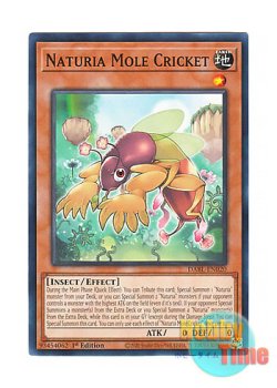 画像1: 英語版 DABL-EN020 Naturia Mole Cricket ナチュル・モルクリケット (ノーマル) 1st Edition