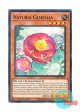 英語版 DABL-EN021 Naturia Camellia ナチュル・カメリア (ノーマル) 1st Edition
