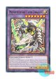 英語版 LEDE-EN037 Mementotlan Twin Dragon メメント・ツイン・ドラゴン (ノーマル) 1st Edition