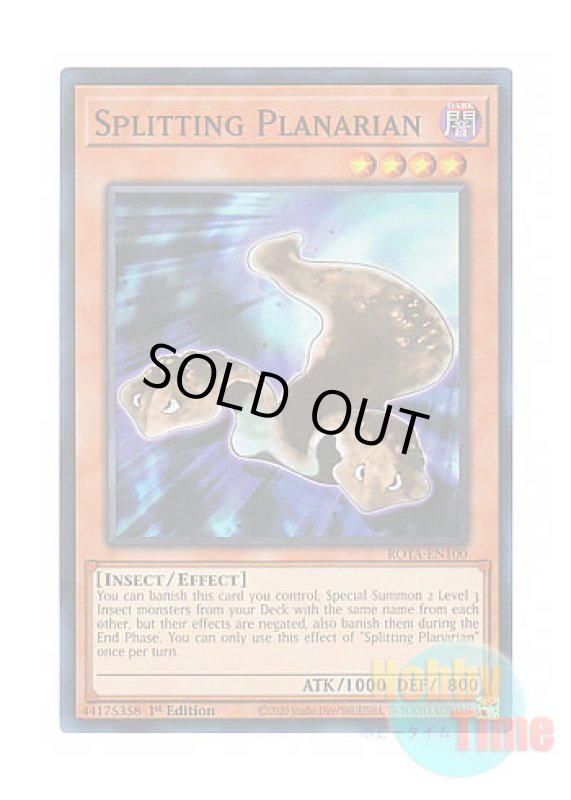 画像1: 英語版 ROTA-EN100 Splitting Planarian 分裂するプラナリア (スーパーレア) 1st Edition (1)