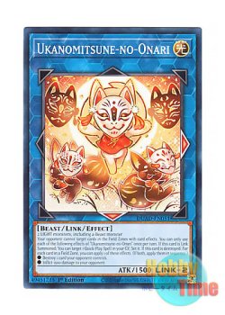 画像1: 英語版 DUAD-EN051 Ukanomitsune-no-Onari うかのみつねのおなり (ノーマル) 1st Edition