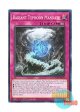 英語版 DOOD-EN076 Radiant Typhoon Mandate 絢嵐たる権能 (ノーマル) 1st Edition