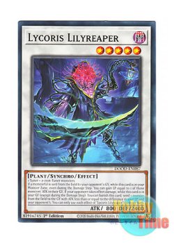 画像1: 英語版 DOOD-EN087 Lycoris Lilyreaper 日本未発売 (ノーマル) 1st Edition