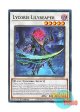英語版 DOOD-EN087 Lycoris Lilyreaper 日本未発売 (ノーマル) 1st Edition