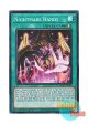 英語版 BPRO-EN068 Nightmare Hands 幻惑の操手 (スーパーレア) 1st Edition