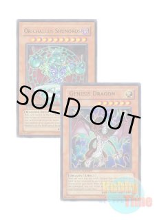 英語版 Starter Deck: Jaden Yuki スターターデッキ：遊城十代編 Unlimited