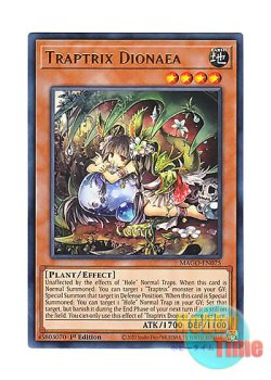 画像1: 英語版 MAGO-EN075 Traptrix Dionaea ティオの蟲惑魔 (レア：ゴールド) 1st Edition