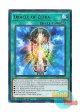 英語版 MGED-EN073 Oracle of Zefra セフィラの神託 (レア：ゴールド) 1st Edition