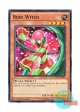 英語版 LC5D-EN097 Rose Witch ローズ・ウィッチ (ノーマル) 1st Edition