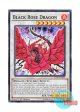 英語版 LC5D-EN099 Black Rose Dragon ブラック・ローズ・ドラゴン (ノーマル) 1st Edition