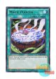 英語版 LC5D-EN104 Magic Planter マジック・プランター (ウルトラレア) 1st Edition
