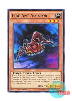 画像1: 英語版 LC5D-EN224 Fire Ant Ascator 赤蟻アスカトル (レア) 1st Edition