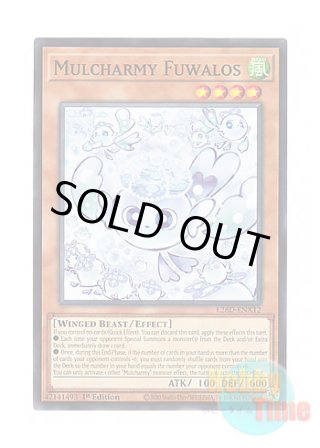 遊戯王 英語版(北米仕様) 日本語版 通販ショップ Hobby Time World
