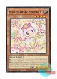 英語版 L5DD-ENA14 Mulcharmy Meowls マルチャミー・ニャルス (ノーマル) 1st Edition