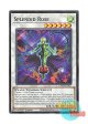 英語版 L5DD-ENA27 Splendid Rose スプレンディッド・ローズ (ノーマル) 1st Edition