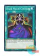 英語版 LEDD-ENA14 Dark Magic Curtain 黒魔術のカーテン (ノーマル) 1st Edition