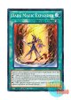 英語版 LEDD-ENA17 Dark Magic Expanded 黒魔導強化 (ノーマル) 1st Edition
